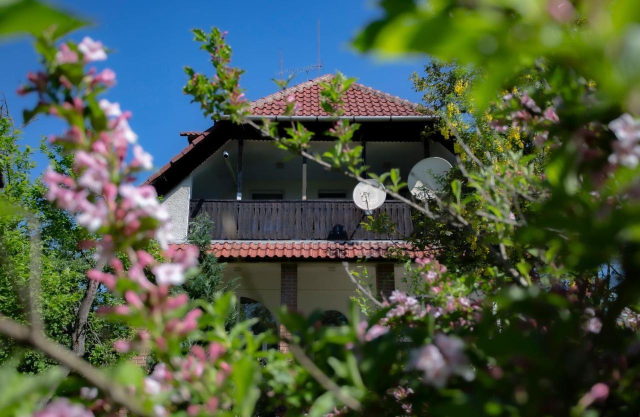 Alabastrom Panzio Es Etterem Bed and Breakfast Bogács Exteriör bild